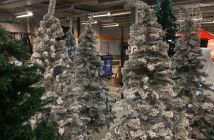 00342 kerstboom sneeuw.jpg