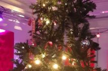 00341 kerstboom.jpg