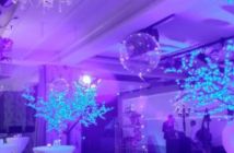 20250124_182802-4.jpg