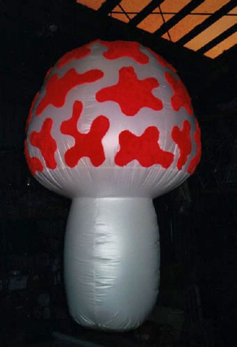 Kuifje paddestoel