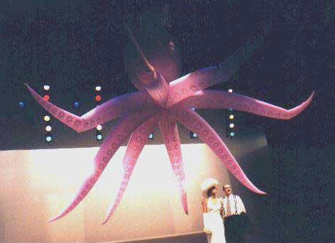 oktopus