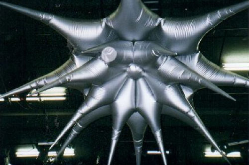 00307 space bloem zilver