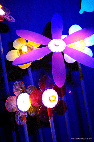 bloemen perspex