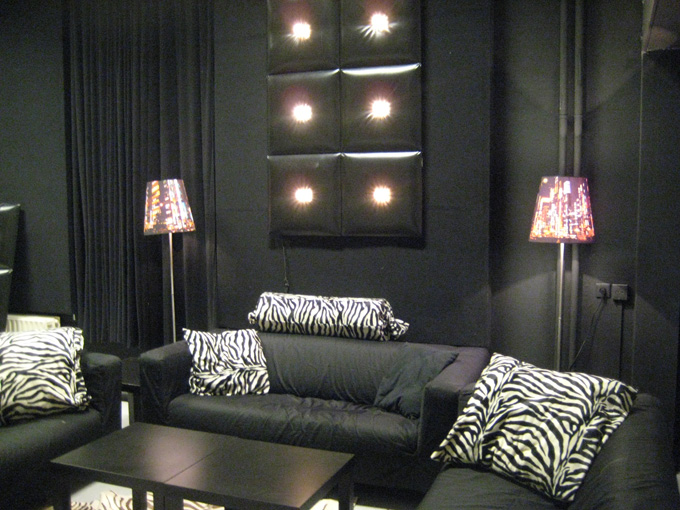 00089 zebrakussens