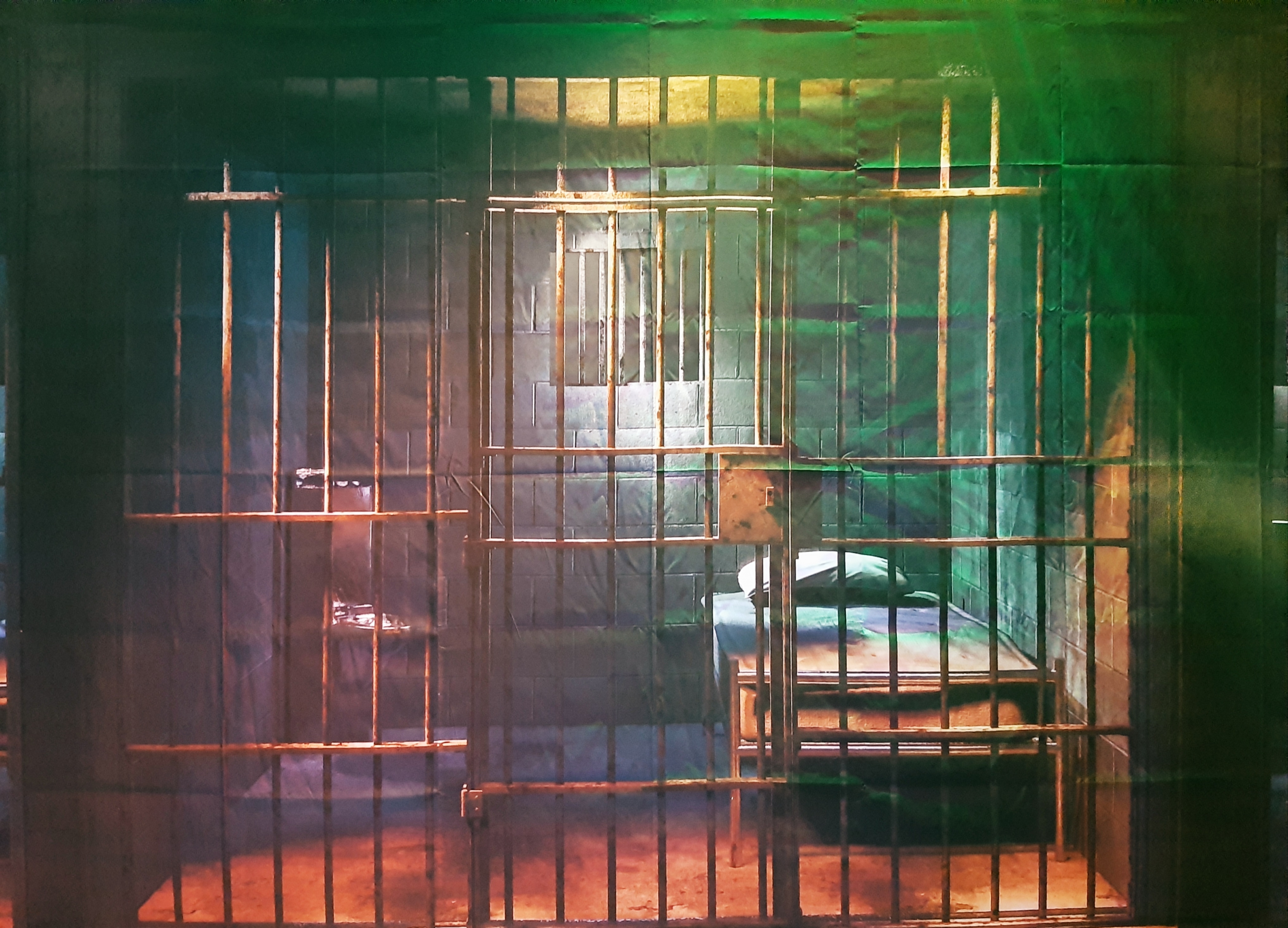 00311 banner jail