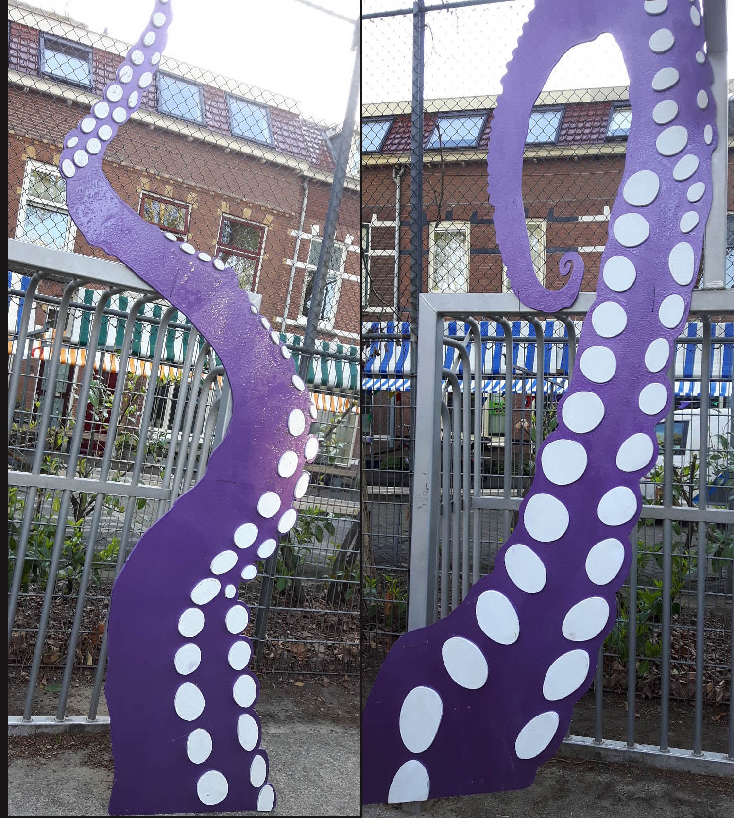 oktopus tentakels